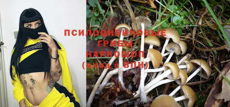 где можно купить наркотик  Демидов  Псилоцибиновые грибы MAGIC MUSHROOMS 